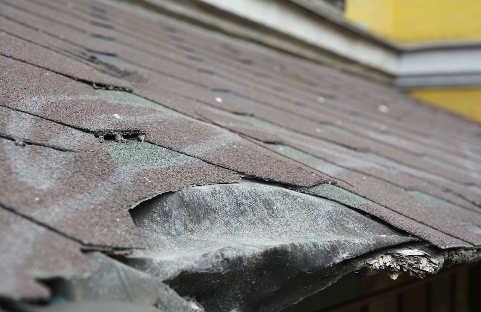 Roof Wizards Images