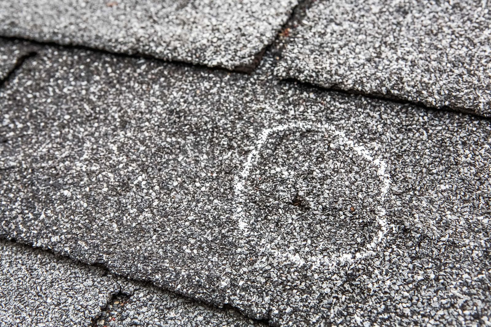 Roof Wizards Images