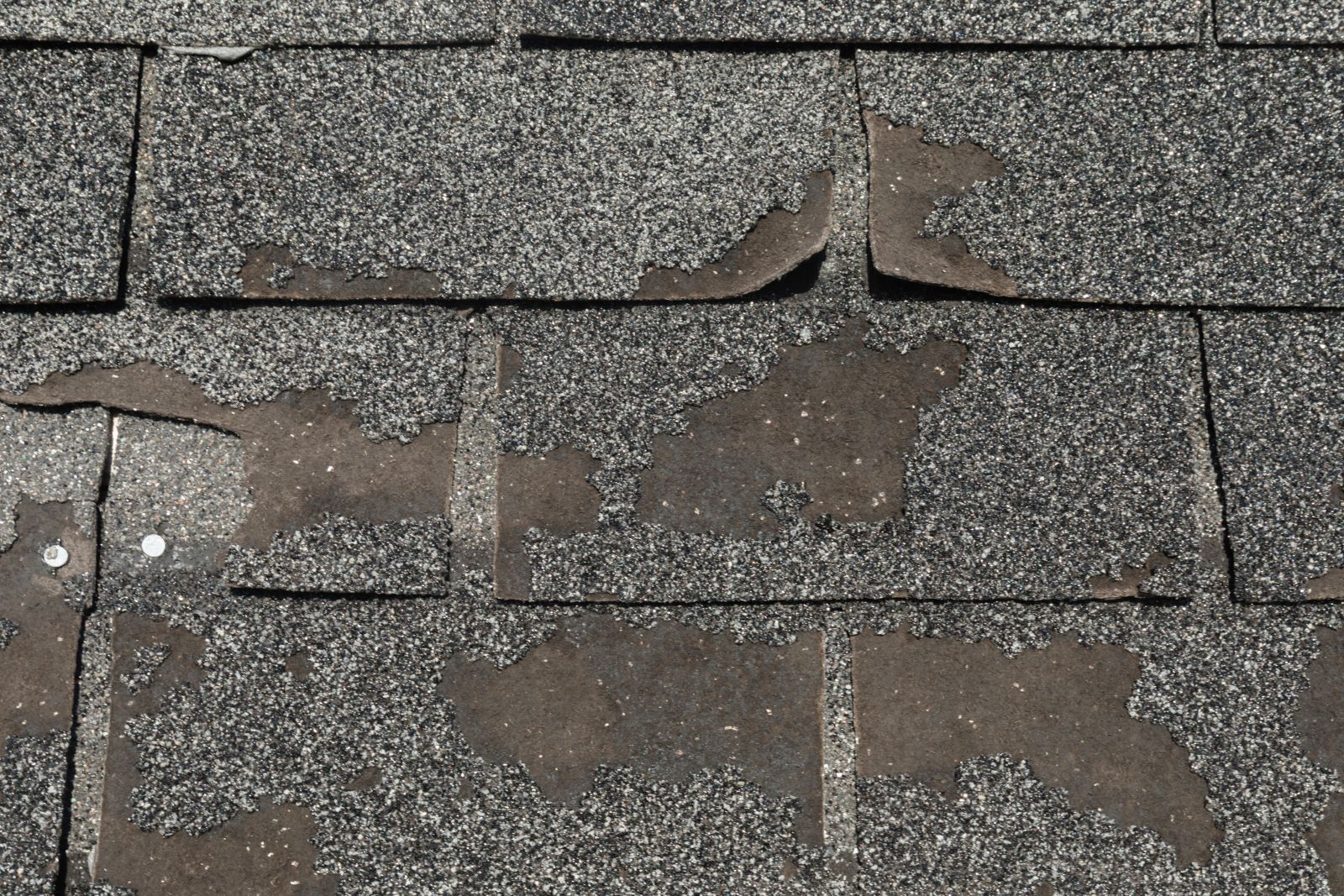 Roof Wizards Images