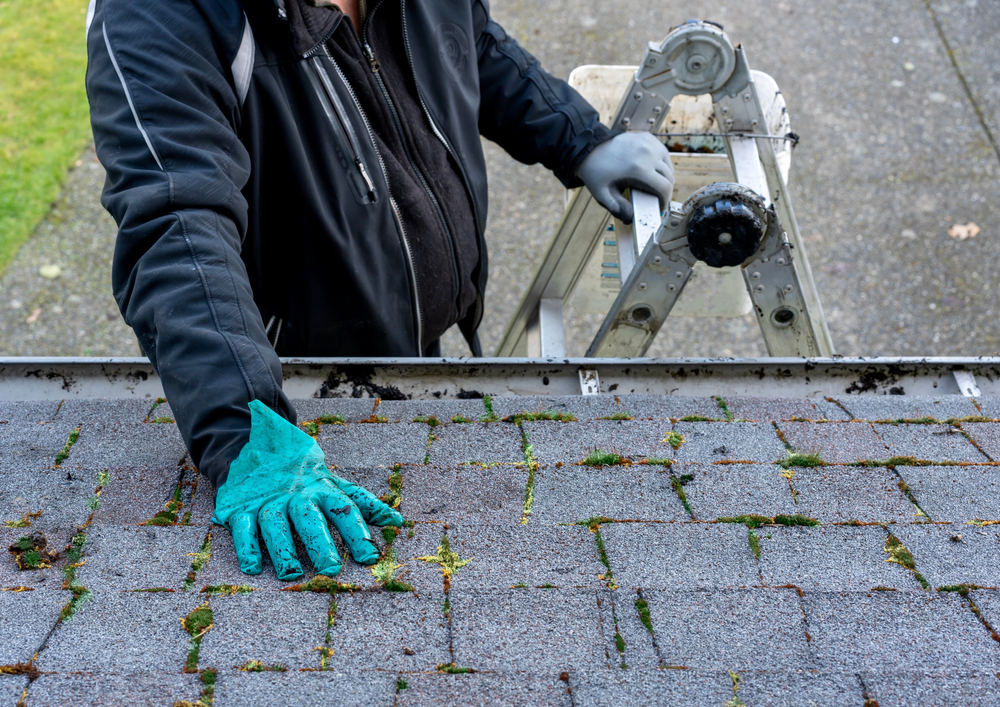Roof maintenance